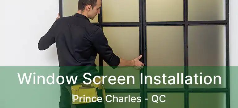  Window Screen Installation Prince Charles - QC