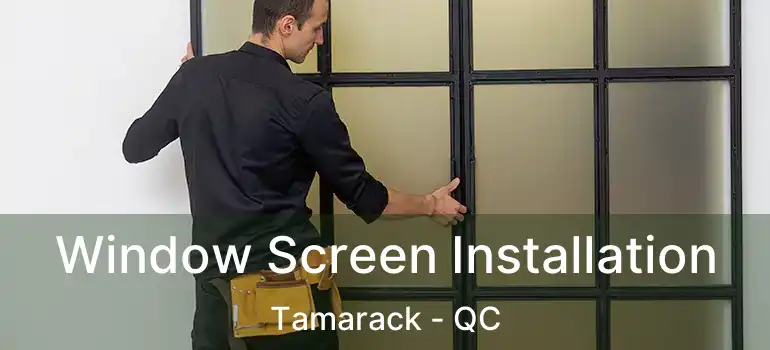  Window Screen Installation Tamarack - QC