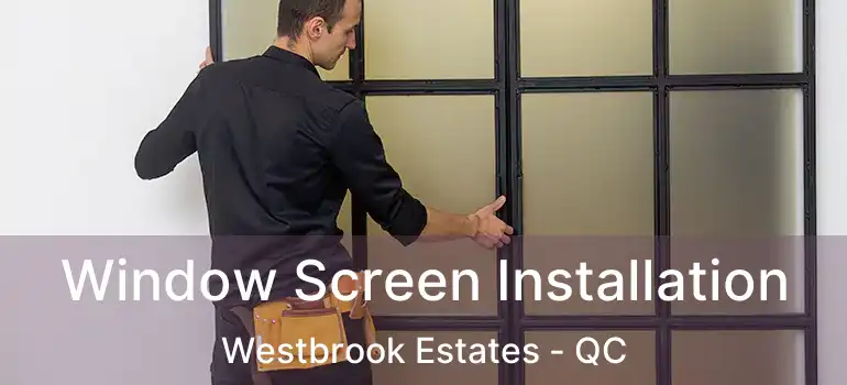  Window Screen Installation Westbrook Estates - QC
