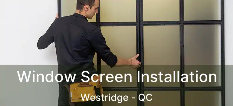  Window Screen Installation Westridge - QC