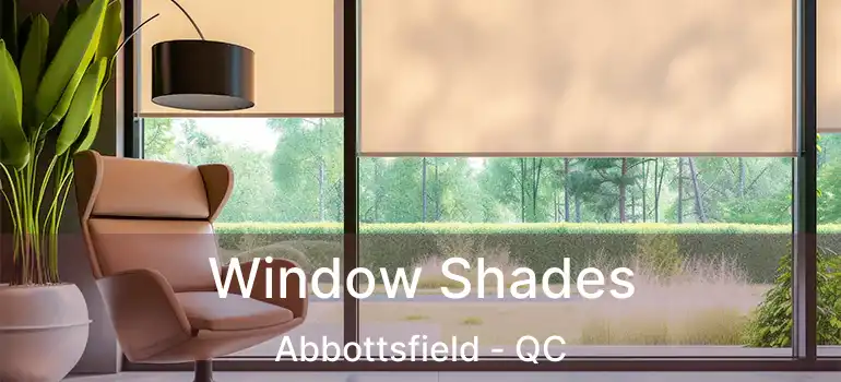  Window Shades Abbottsfield - QC