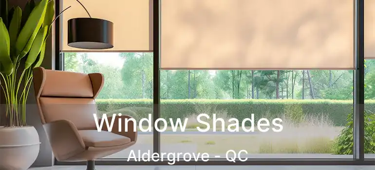  Window Shades Aldergrove - QC
