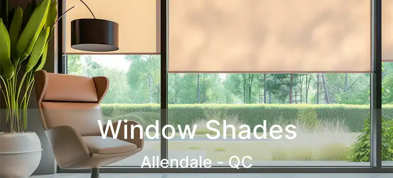  Window Shades Allendale - QC