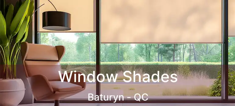  Window Shades Baturyn - QC