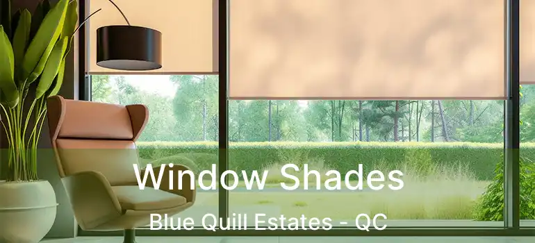  Window Shades Blue Quill Estates - QC