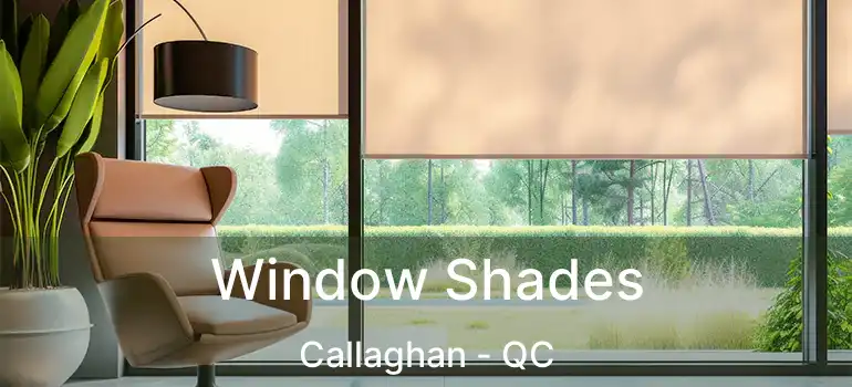  Window Shades Callaghan - QC