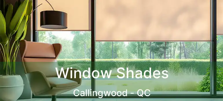  Window Shades Callingwood - QC