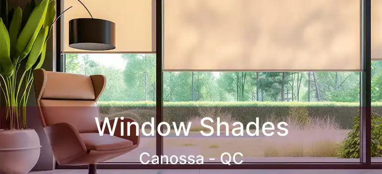  Window Shades Canossa - QC