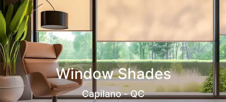 Window Shades Capilano - QC