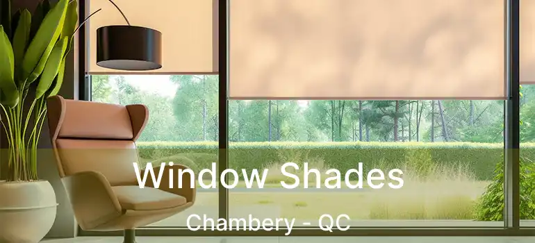  Window Shades Chambery - QC