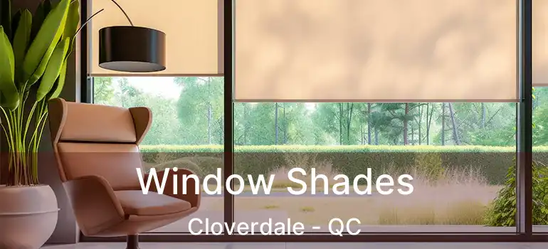  Window Shades Cloverdale - QC