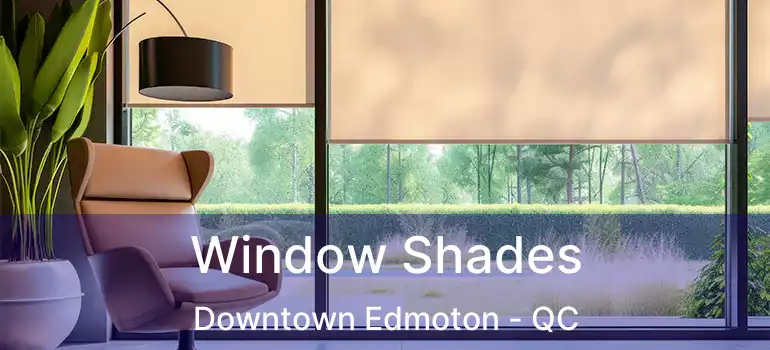  Window Shades Downtown Edmoton - QC
