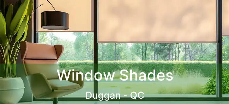  Window Shades Duggan - QC