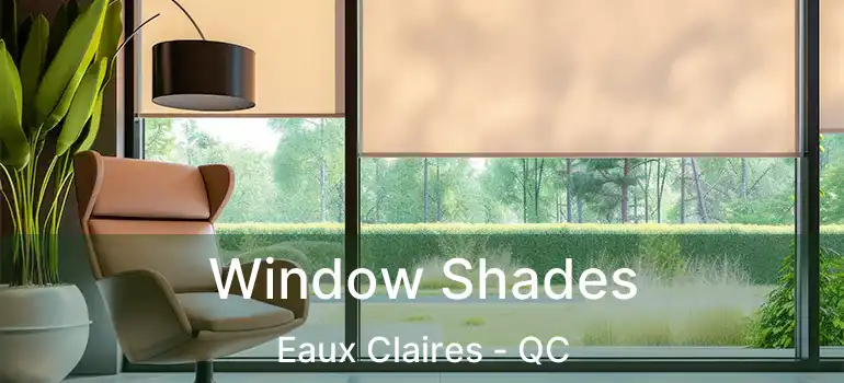  Window Shades Eaux Claires - QC