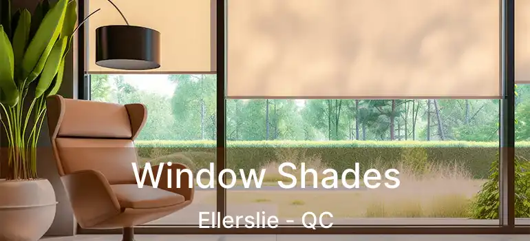  Window Shades Ellerslie - QC
