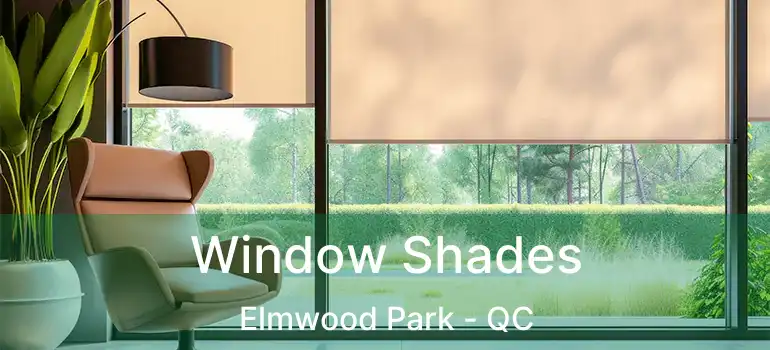  Window Shades Elmwood Park - QC