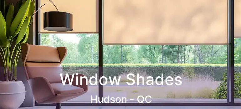  Window Shades Hudson - QC