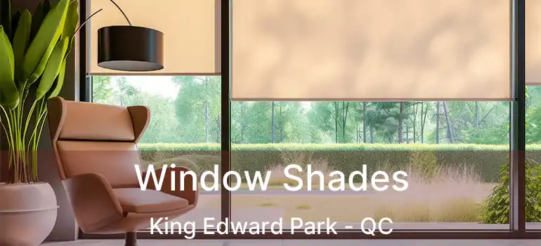  Window Shades King Edward Park - QC