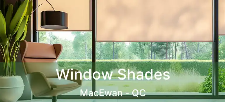 Window Shades MacEwan - QC
