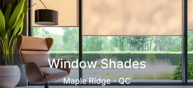  Window Shades Maple Ridge - QC