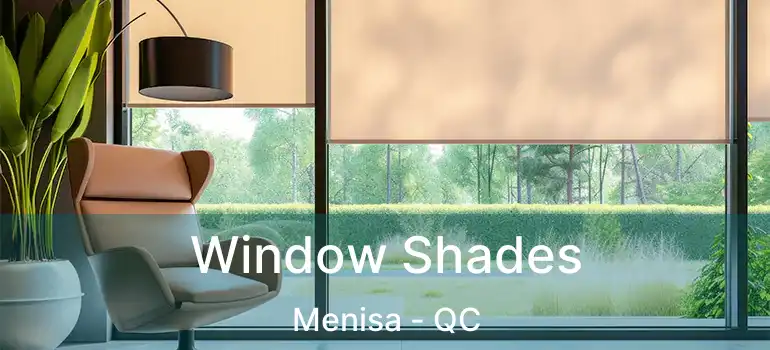  Window Shades Menisa - QC