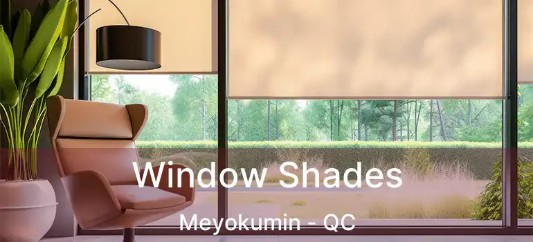  Window Shades Meyokumin - QC