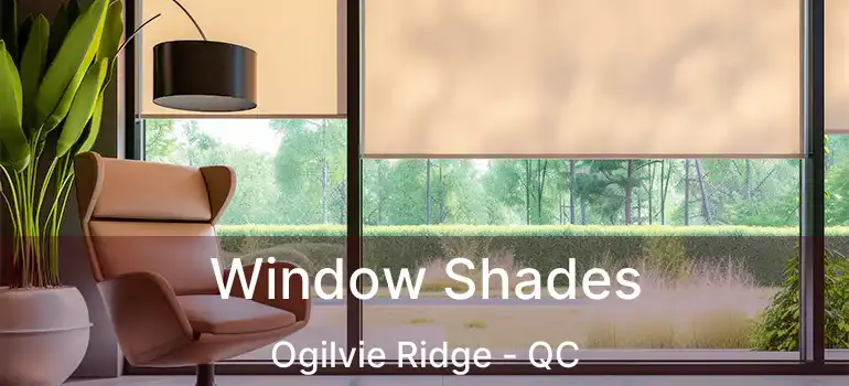  Window Shades Ogilvie Ridge - QC