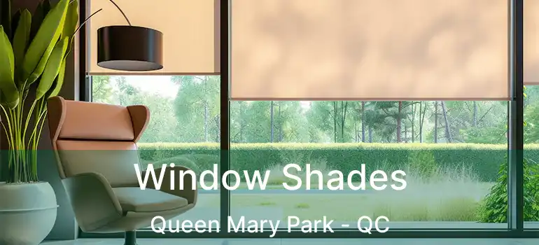  Window Shades Queen Mary Park - QC