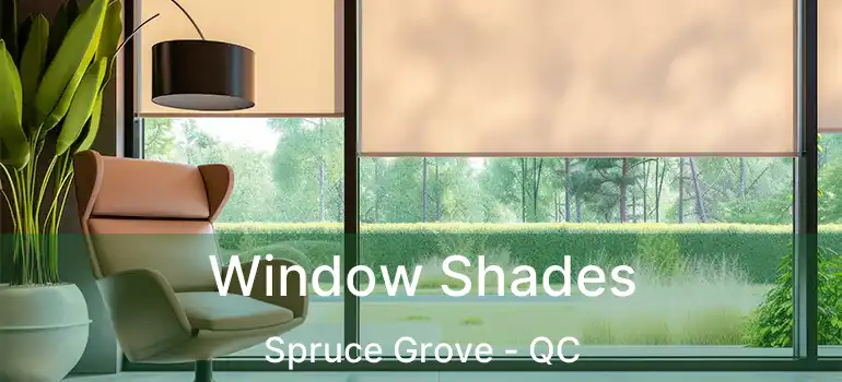  Window Shades Spruce Grove - QC