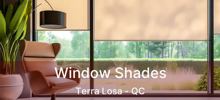  Window Shades Terra Losa - QC