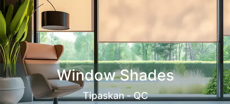  Window Shades Tipaskan - QC
