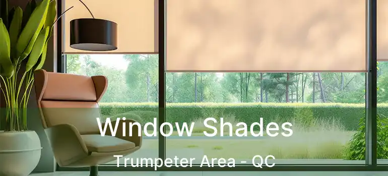  Window Shades Trumpeter Area - QC