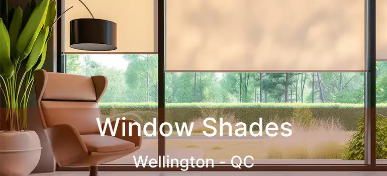  Window Shades Wellington - QC