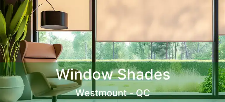  Window Shades Westmount - QC