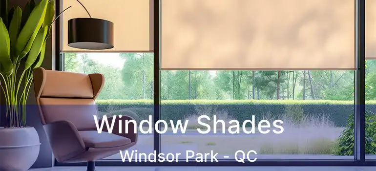  Window Shades Windsor Park - QC