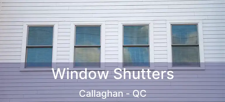  Window Shutters Callaghan - QC