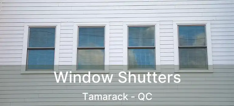  Window Shutters Tamarack - QC