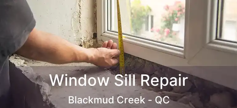  Window Sill Repair Blackmud Creek - QC