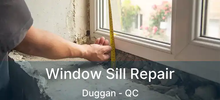  Window Sill Repair Duggan - QC