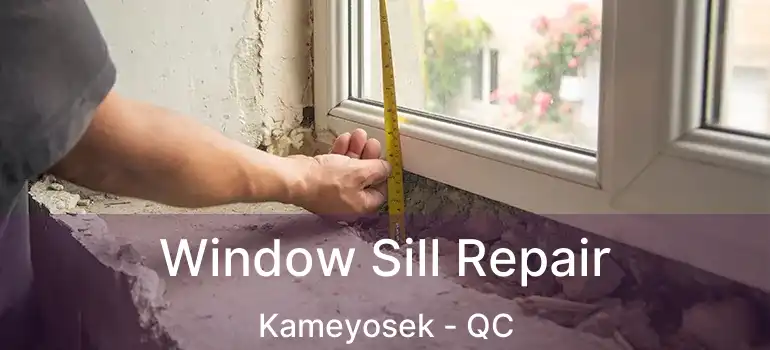 Window Sill Repair Kameyosek - QC