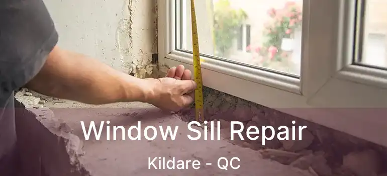  Window Sill Repair Kildare - QC