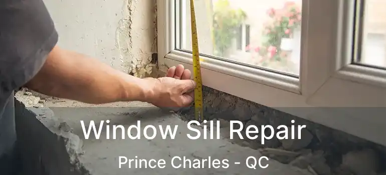 Window Sill Repair Prince Charles - QC