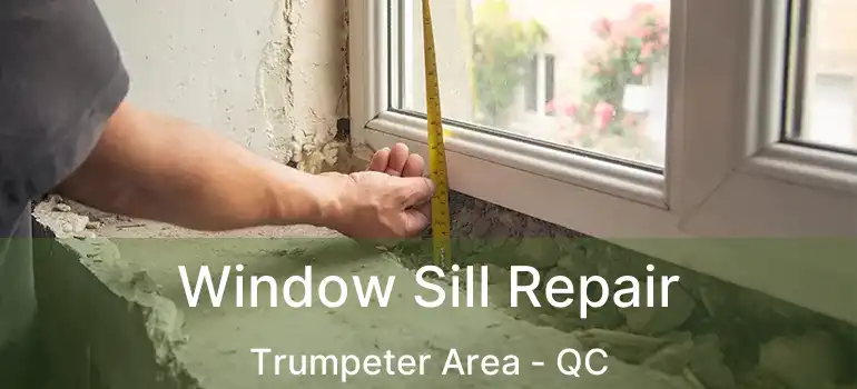  Window Sill Repair Trumpeter Area - QC