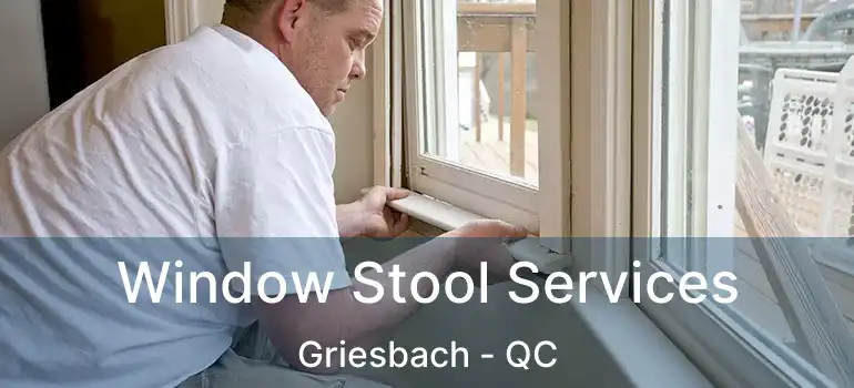 Window Stool Services Griesbach - QC