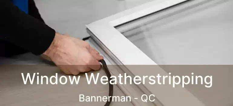  Window Weatherstripping Bannerman - QC