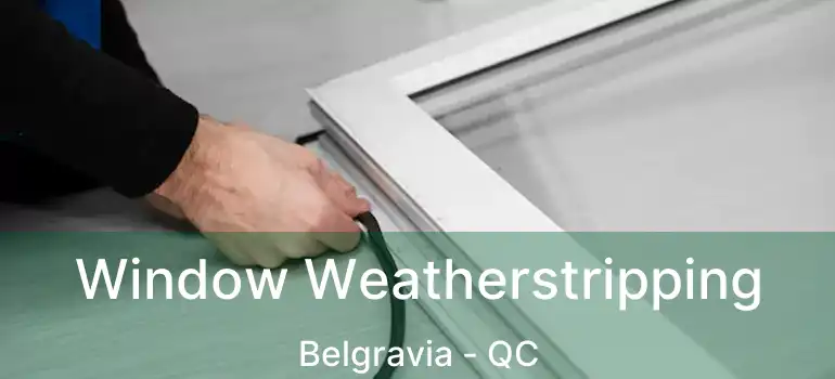  Window Weatherstripping Belgravia - QC