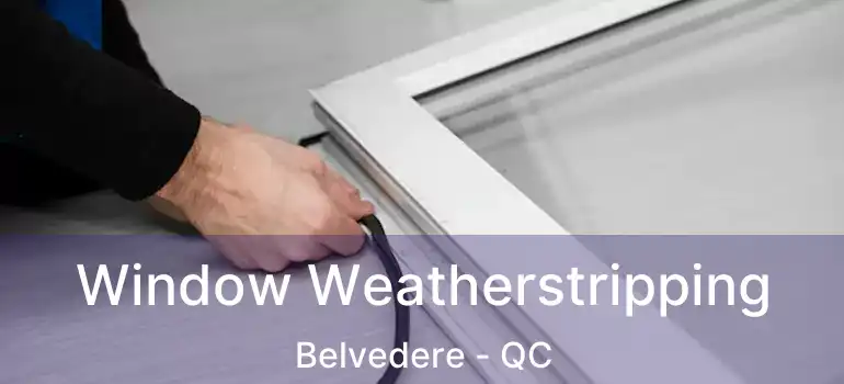  Window Weatherstripping Belvedere - QC