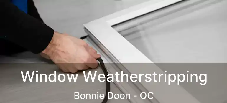  Window Weatherstripping Bonnie Doon - QC