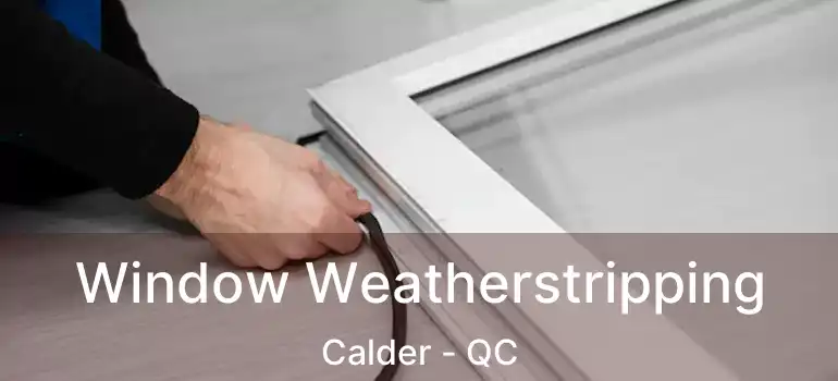  Window Weatherstripping Calder - QC