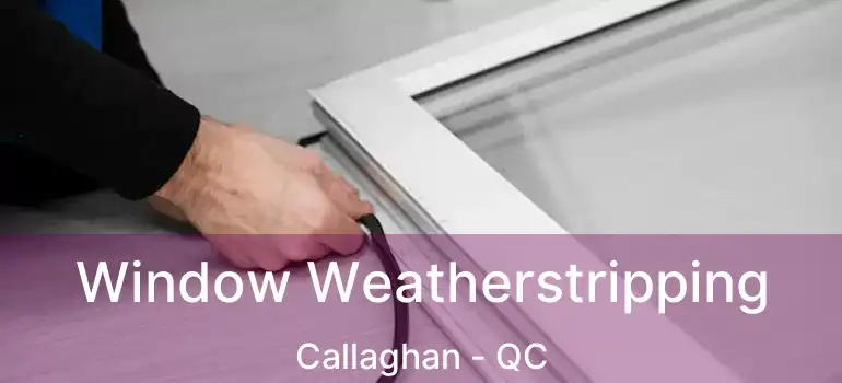  Window Weatherstripping Callaghan - QC